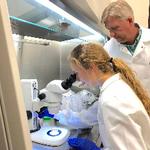 Origins of ancient Eurasian Nomadic Warriors